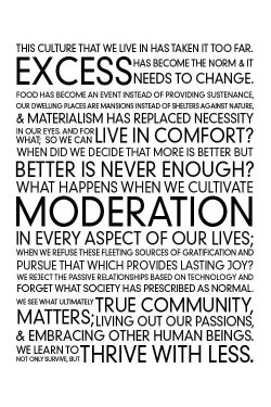 Thrive With Less (2012) Thrive With Less (2012)