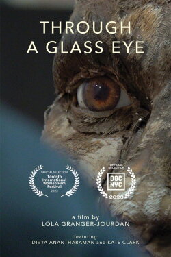 Through a Glass Eye (2023) Through a Glass Eye (2023)