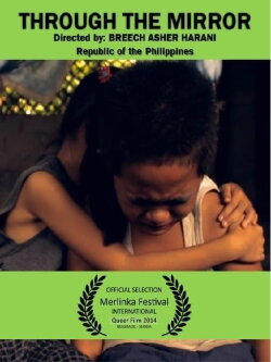 Through the Mirror (2014)