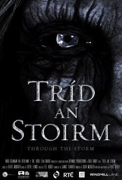 Through the Storm (2012) Through the Storm (2012)