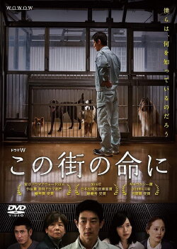 Through Their Eyes (2016) Through Their Eyes (2016)