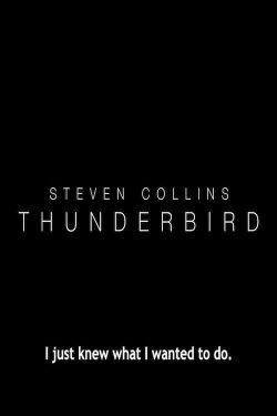 Thunderbird (2017) Thunderbird (2017)
