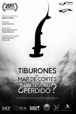 Tiburones Del Mar De Cortés: ¿Un Tesoro Perdido? (2022) Tiburones Del Mar De Cortés: ¿Un Tesoro Perdido? (2022)