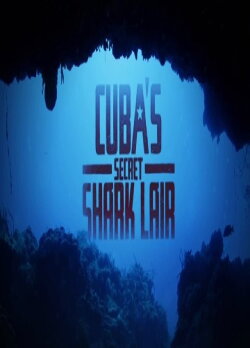 Tiburones gigantes de Cuba (2018)