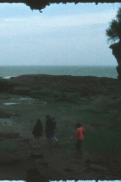 Tidal Bored VI (2019)