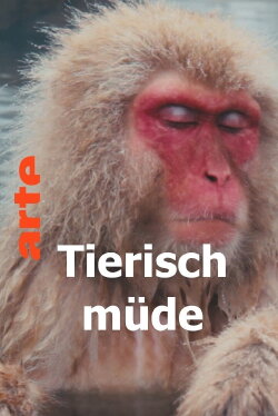 Tierisch müde - Das Rätsel Schlaf (2022) Tierisch müde - Das Rätsel Schlaf (2022)