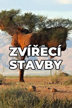 Tierische Unterkünfte (2015) Tierische Unterkünfte (2015)