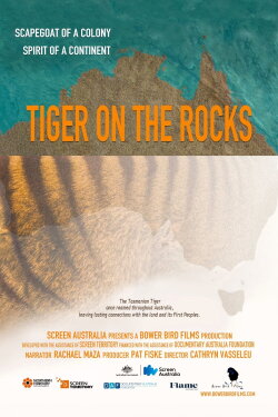Tiger on the Rocks (2022) Tiger on the Rocks (2022)