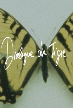 Tiger's Dialogue (2017)