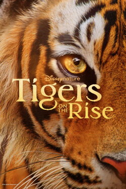 Tigers on the Rise (2024) Tigers on the Rise (2024)