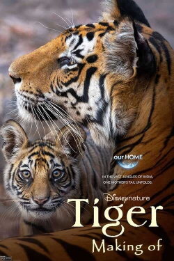 Tigres : Le Making of (2024) Tigres : Le Making of (2024)