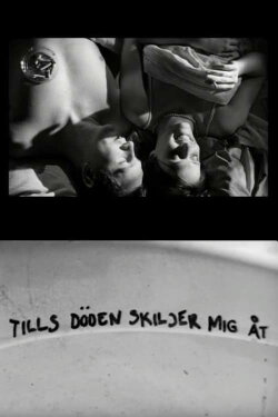 Tills döden skiljer mig åt (2003) Tills döden skiljer mig åt (2003)