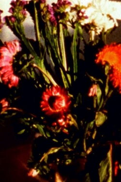 Time Being I – IV (2007)