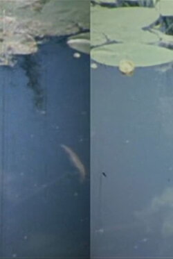 Time Flow (1977) Time Flow (1977)