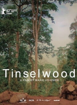 Tinselwood (2017) Tinselwood (2017)
