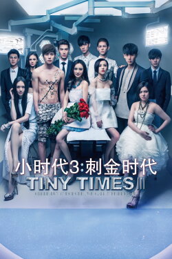 Tiny Times 3 (2014) Tiny Times 3 (2014)