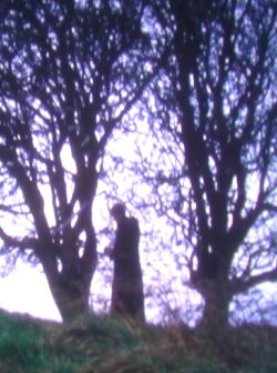 Tír na nÓg (2008) Tír na nÓg (2008)