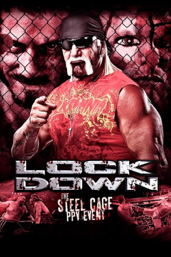 TNA Lockdown 2013 (2013)