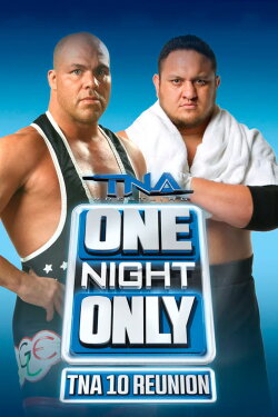 TNA One Night Only: 10 Reunion 2013 (2013) TNA One Night Only: 10 Reunion 2013 (2013)