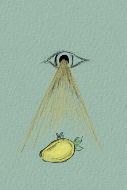 To Be A Fly On Your Mango (2022) To Be A Fly On Your Mango (2022)