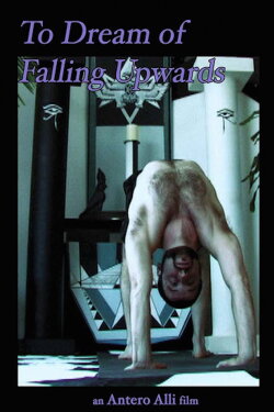 To Dream of Falling Upwards (2011) To Dream of Falling Upwards (2011)