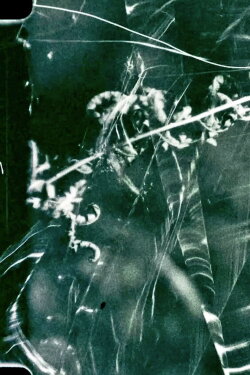 To Live and Die in the Shadows: Ferns, Survival and Horizontal Gene Transfer (2021) To Live and Die in the Shadows: Ferns, Survival and Horizontal Gene Transfer (2021)