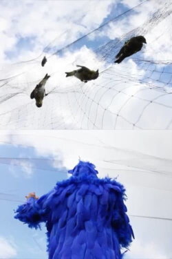 To See the Sky, Dance (2018) To See the Sky, Dance (2018)