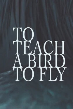 To Teach a Bird to Fly (2020) To Teach a Bird to Fly (2020)