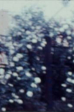 To the Dairy (1977)