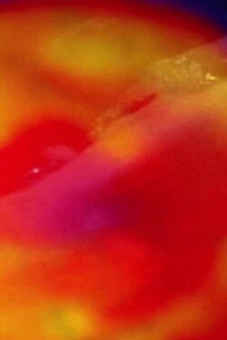 To the Earthen Red (2022)