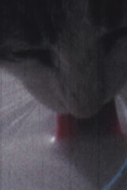 To the Final Drop (1972)
