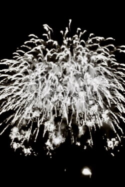 TOKYO FIREWORKS (2019)