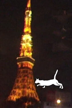 Tokyo Girl (2006) Tokyo Girl (2006)