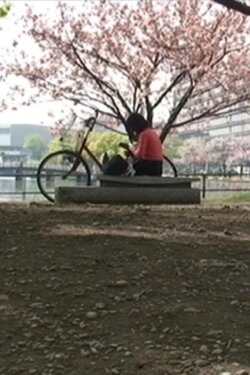 Tokyo rendering kashu (2009)