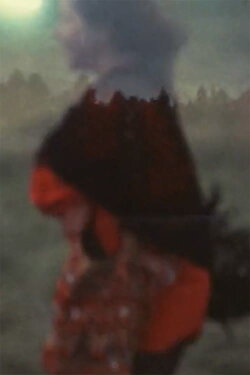 Tollhaus (1979) Tollhaus (1979)