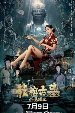 Tomb of the Dragon Coffin: The Wolf King of Western Xia (2021) Tomb of the Dragon Coffin: The Wolf King of Western Xia (2021)