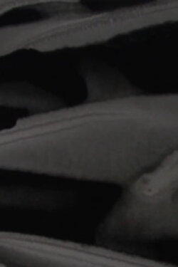 Tonal (2013)