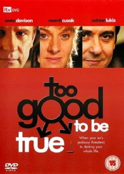 Too Good to Be True (2003) Too Good to Be True (2003)