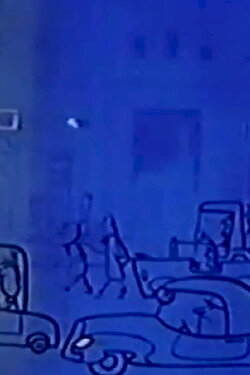 Top Cat (1960)