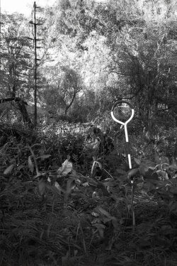 Topographer (2015)
