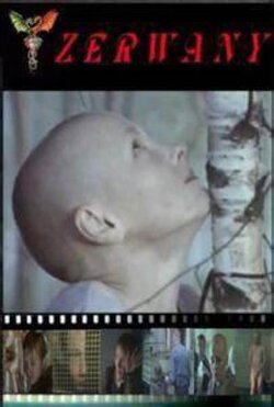 Torn (2003)