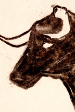 Toro (2014)