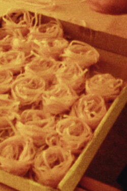 Tortellini Tortelloni (2011) Tortellini Tortelloni (2011)