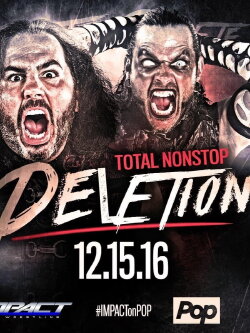 Total Nonstop Deletion (2016) Total Nonstop Deletion (2016)