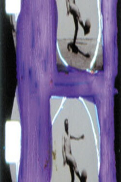 TOTALITÉ (1999)