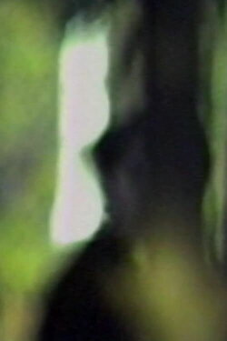 Totem Lesson (1989)