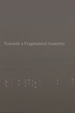 Towards a Fragmented Anatomy (2019)
