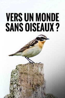 Towards a World Without Birds (2020) Towards a World Without Birds (2020)