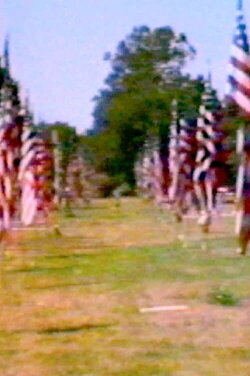 Towards Intuition: An American Landscape (1981) Towards Intuition: An American Landscape (1981)