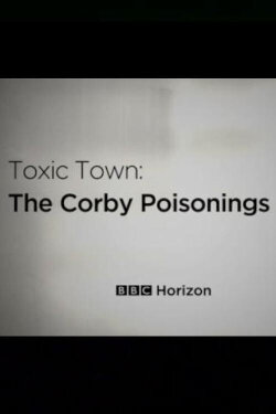 Toxic Town: The Corby Poisonings (2020)